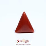 Red Coral - 5.55 Carat