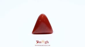 Red Coral - 5.8 Carat