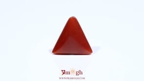 Red Coral - 6.2 Carat