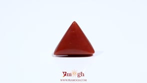 Red Coral - 5.8 Carat