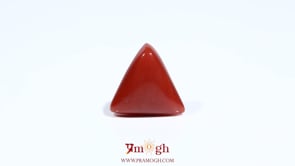 Red Coral - 5.45 Carat