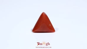 Red Coral - 5.6 Carat