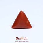 Red Coral - 5.6 Carat