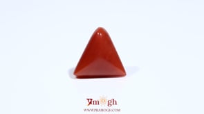 Red Coral - 6.2 Carat