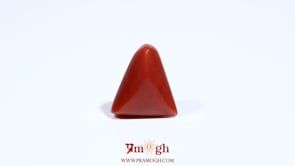 Red Coral - 6.1 Carat