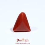 Red Coral - 6.1 Carat