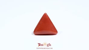Red Coral - 5.55 Carat