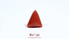Red Coral - 5.95 Carat