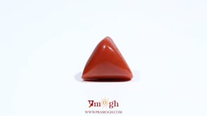 Red Coral - 6.3 Carat
