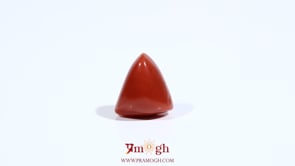 Red Coral - 5.45 Carat