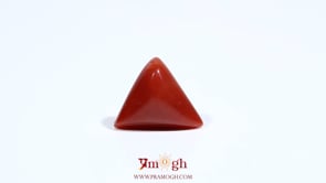 Red Coral - 5.4 Carat