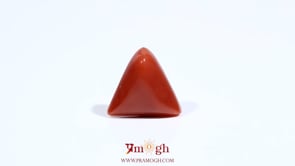 Red Coral - 5.85 Carat