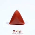 Red Coral - 5.85 Carat
