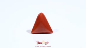 Red Coral - 5.8 Carat