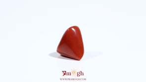 Red Coral - 5.4 Carat