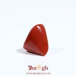 Red Coral - 5.4 Carat