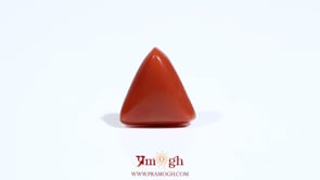 Red Coral - 5.6 Carat