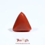 Red Coral - 5.6 Carat