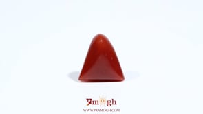 Red Coral - 5.55 Carat