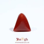 Red Coral - 5.55 Carat