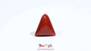 Red Coral - 5.85 Carat