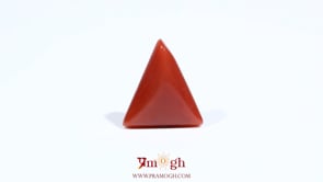 Red Coral - 5.6 Carat