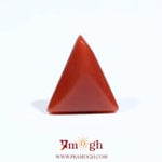 Red Coral - 5.6 Carat