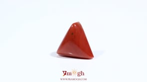 Red Coral - 6.05 Carat