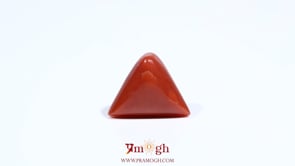 Red Coral - 5.85 Carat