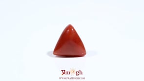 Red Coral - 5.45 Carat