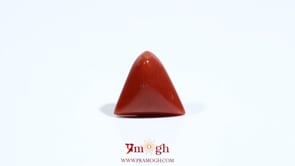 Red Coral - 5.4 Carat