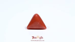 Red Coral - 5.5 Carat