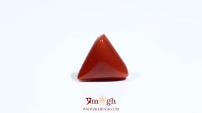 Red Coral - 6.1 Carat