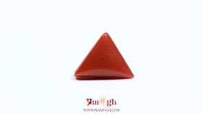 Red Coral - 5.5 Carat
