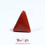 Red Coral - 5.45 Carat