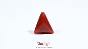 Red Coral - 5.45 Carat