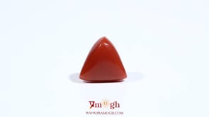 Red Coral - 5.6 Carat
