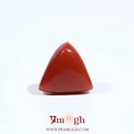 Red Coral - 5.6 Carat