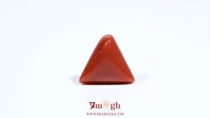 Red Coral - 5.55 Carat