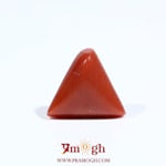Red Coral - 5.55 Carat