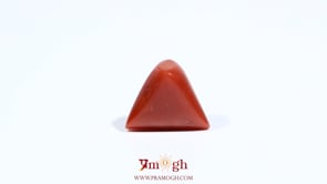 Red Coral - 5.75 Carat