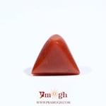 Red Coral - 5.75 Carat