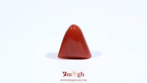 Red Coral - 5.75 Carat