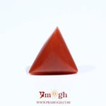 Red Coral - 5.55 Carat