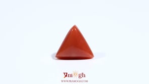 Red Coral - 5.5 Carat