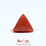 Red Coral - 5.5 Carat