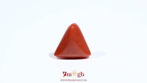 Red Coral - 6.3 Carat