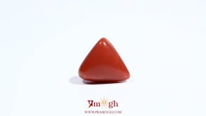 Red Coral - 5.45 Carat