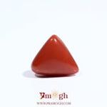 Red Coral - 5.45 Carat