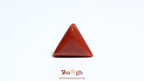 Red Coral - 5.7 Carat